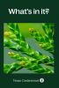Be Confident Essential Oil Blend