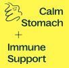 Ginger Root Herbal Supplement Capsules