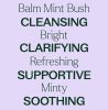 Balm Mint Bush Essential Oil