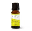 Cananga Essential Oil