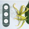 Cananga Essential Oil