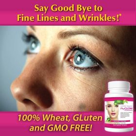 Skin Care Phytoceramides 90 Day Hydration Focus Super Ceramide Supplements for Women and Men Wrinkle Support Factor Pills Give youth to the Face