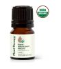 Organic Helichrysum Italicum Essential Oil