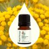 Organic Helichrysum Italicum Essential Oil