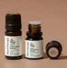 Helichrysum Italicum Organic Essential Oil