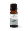 Laurel Leaf Essential Oil