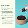 Lava Rock Passive Diffuser