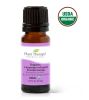 Organic Lavender Infused Frankincense Essential Oil Infusion