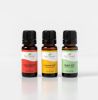 Wellness Sampler Set
