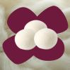 Wool Dryer Balls 6 Pack