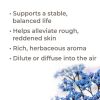 Blue Yarrow Organic Essential Oil