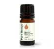 Chamomile German Essential Oil