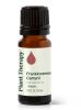 Frankincense Carteri Essential Oil