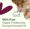 Frankincense Frereana Organic Essential Oil