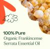Frankincense Serrata Organic Essential Oil