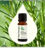 Rosemary 1.8-Cineole Essential Oil