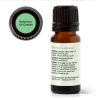 Rosemary 1.8-Cineole Essential Oil