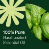 Basil Linalool Essential Oil