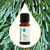Blue Cypress Essential Oil