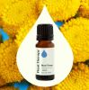Blue Tansy Essential Oil