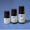 Blue Tansy Essential Oil