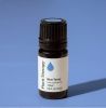 Blue Tansy Essential Oil