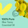 Blue Tansy Essential Oil