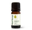 Cardamom Essential Oil