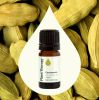 Cardamom Essential Oil