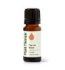 Carrot Seed Essential Oil