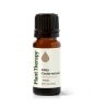 Cedarwood Atlas Essential Oil