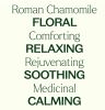 Roman Chamomile Essential Oil
