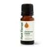 Cinnamon Cassia Essential Oil