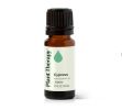 Cypress Essential Oil