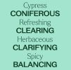 Cypress Essential Oil