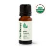 Cypress Organic Essential Oil
