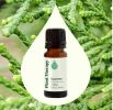 Cypress Essential Oil