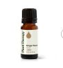 Ginger Root CO2 Extract