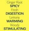 Ginger Root CO2 Extract