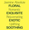 Jasmine Absolute