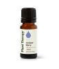 Juniper Berry Essential Oil