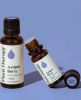 Juniper Berry Essential Oil