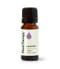 Lavandin Essential Oil