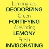 Lemongrass Essential Oil