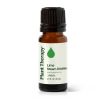Lime Steam Distilled Essential Oil