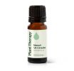 Niaouli 1,8-Cineole Essential Oil