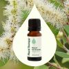 Niaouli 1,8-Cineole Essential Oil