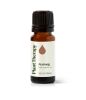 Nutmeg Essential Oil