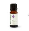 Palmarosa Essential Oil