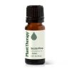 Pine Scots Essential Oil